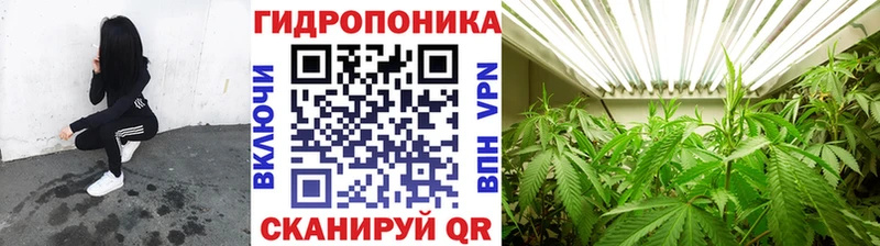 Наркота Выкса Кокаин  A PVP  Псилоцибиновые грибы  МЕФ  Марихуана  АМФЕТАМИН 