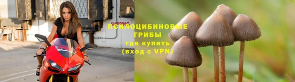 прущий лед Володарск